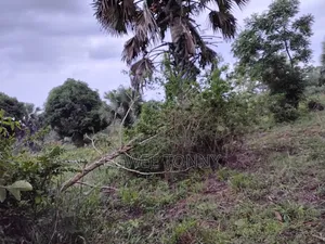 1 Full Acre of Land on Quick Sale in Lira City