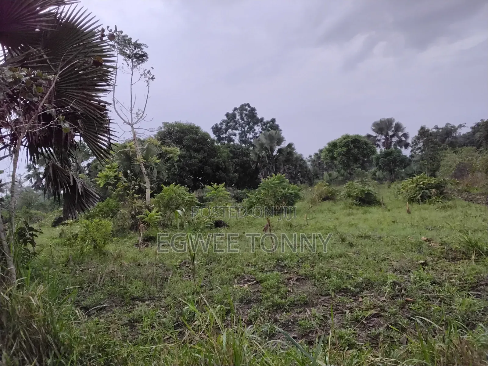 1 Full Acre of Land on Quick Sale in Lira City