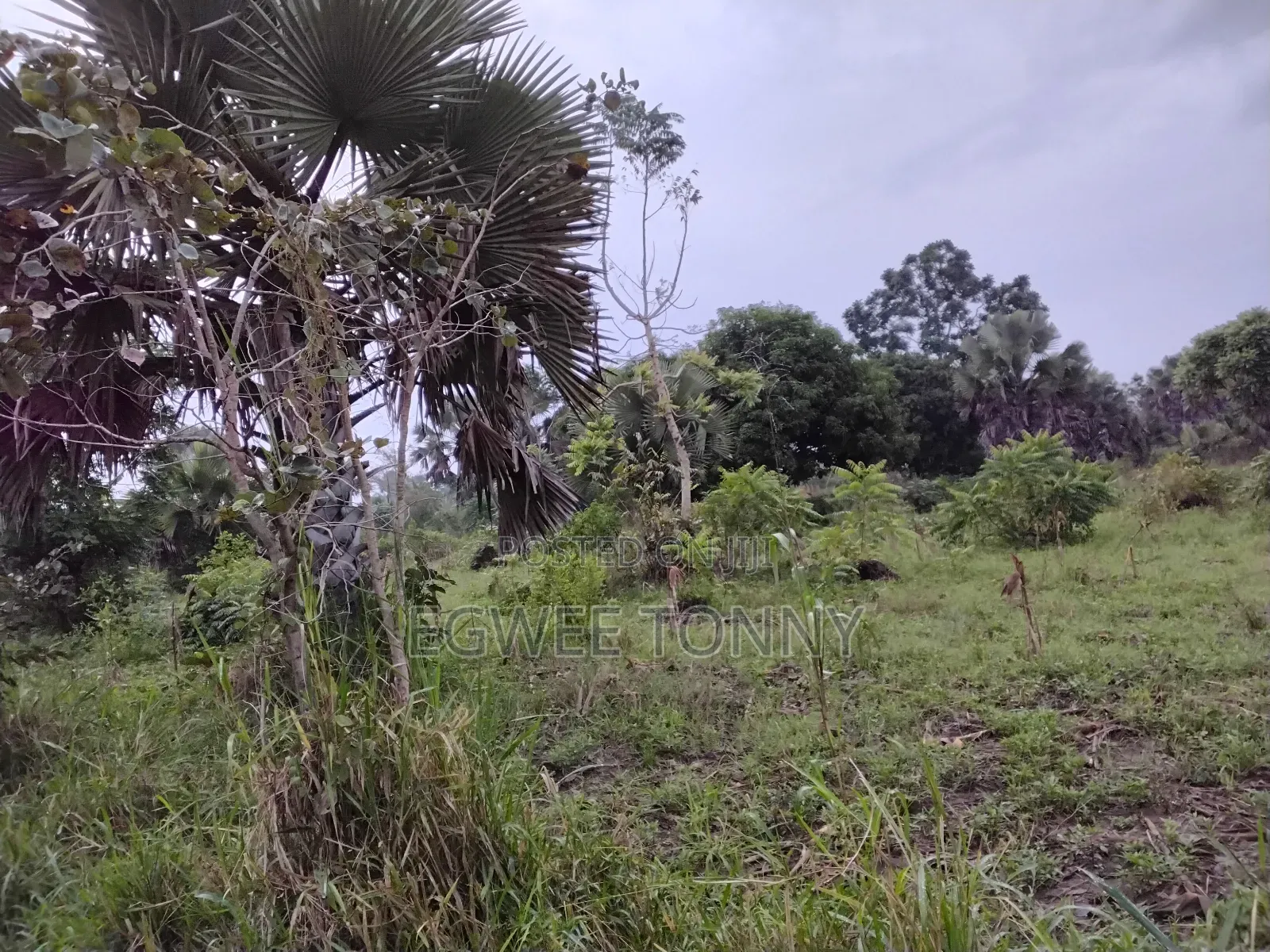 1 Full Acre of Land on Quick Sale in Lira City