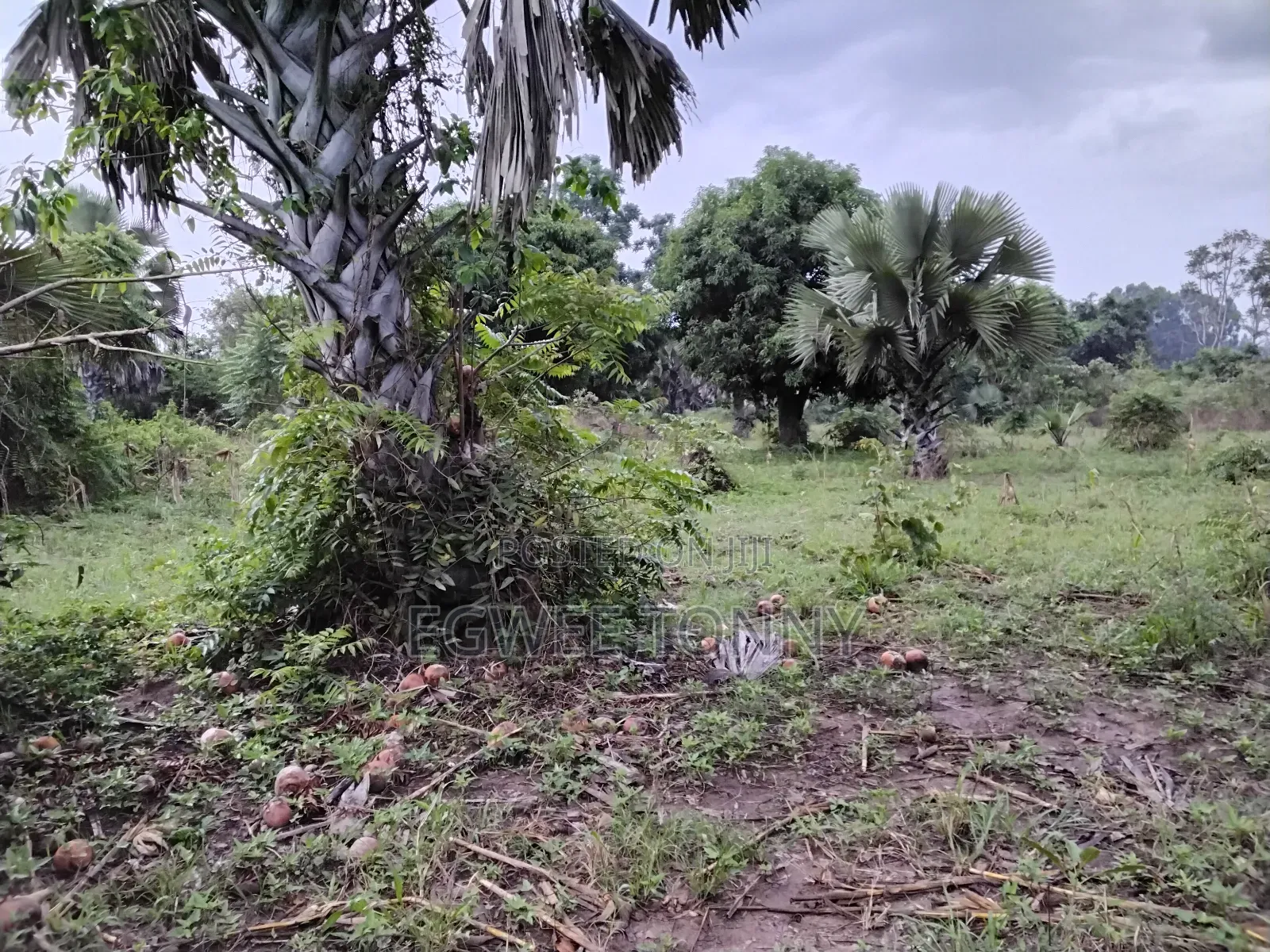 1 Full Acre of Land on Quick Sale in Lira City