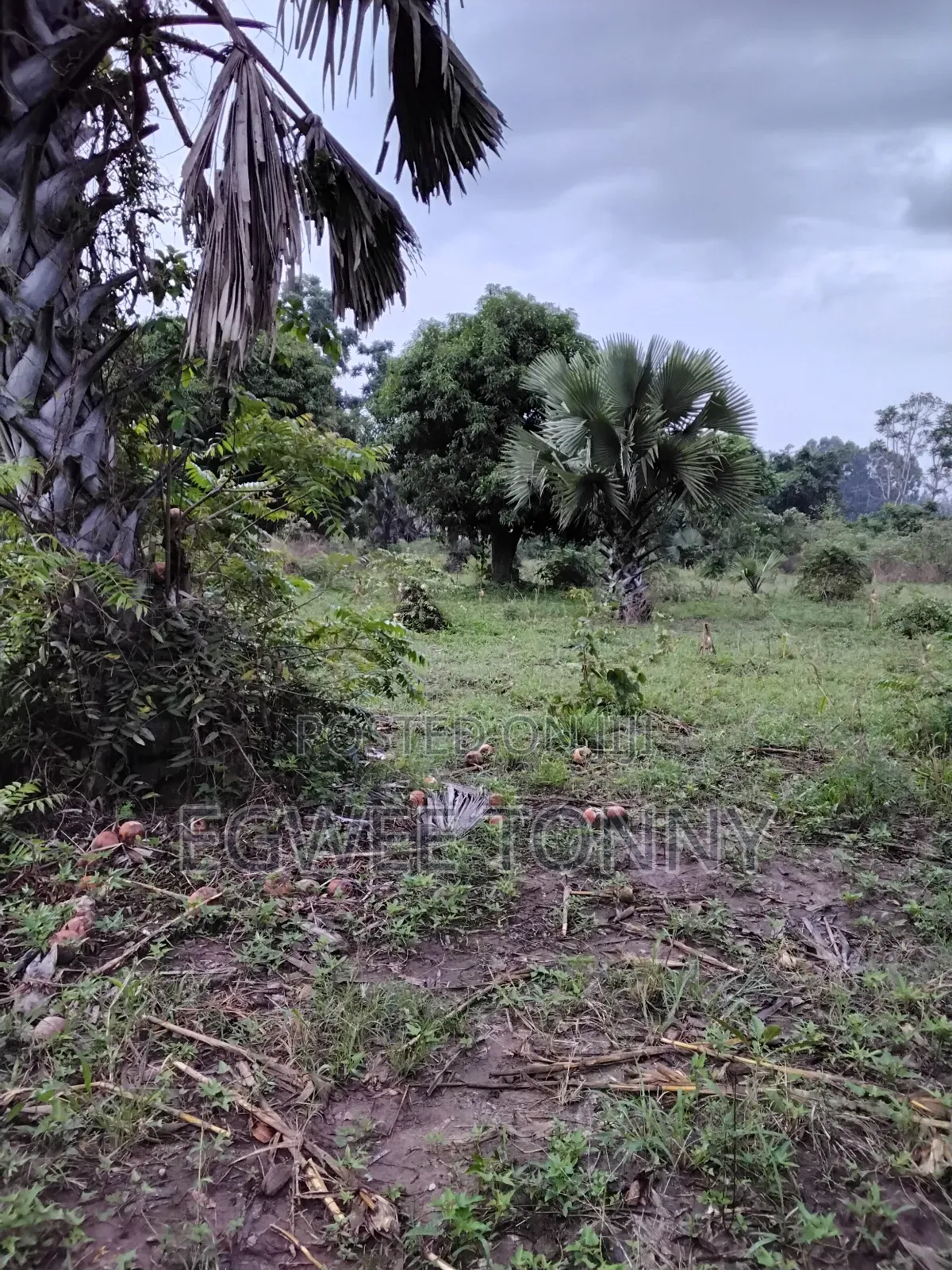 1 Full Acre of Land on Quick Sale in Lira City
