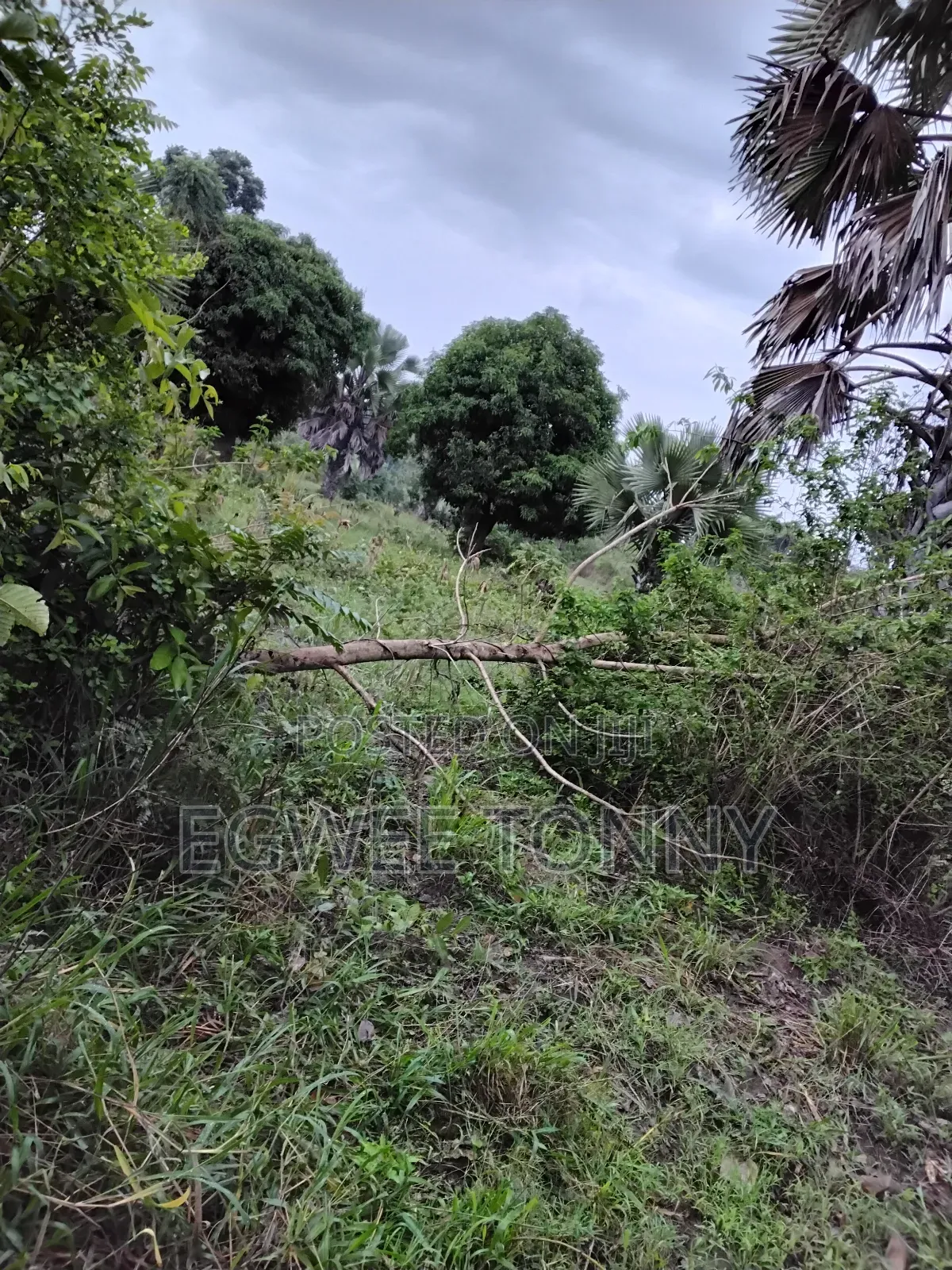 1 Full Acre of Land on Quick Sale in Lira City