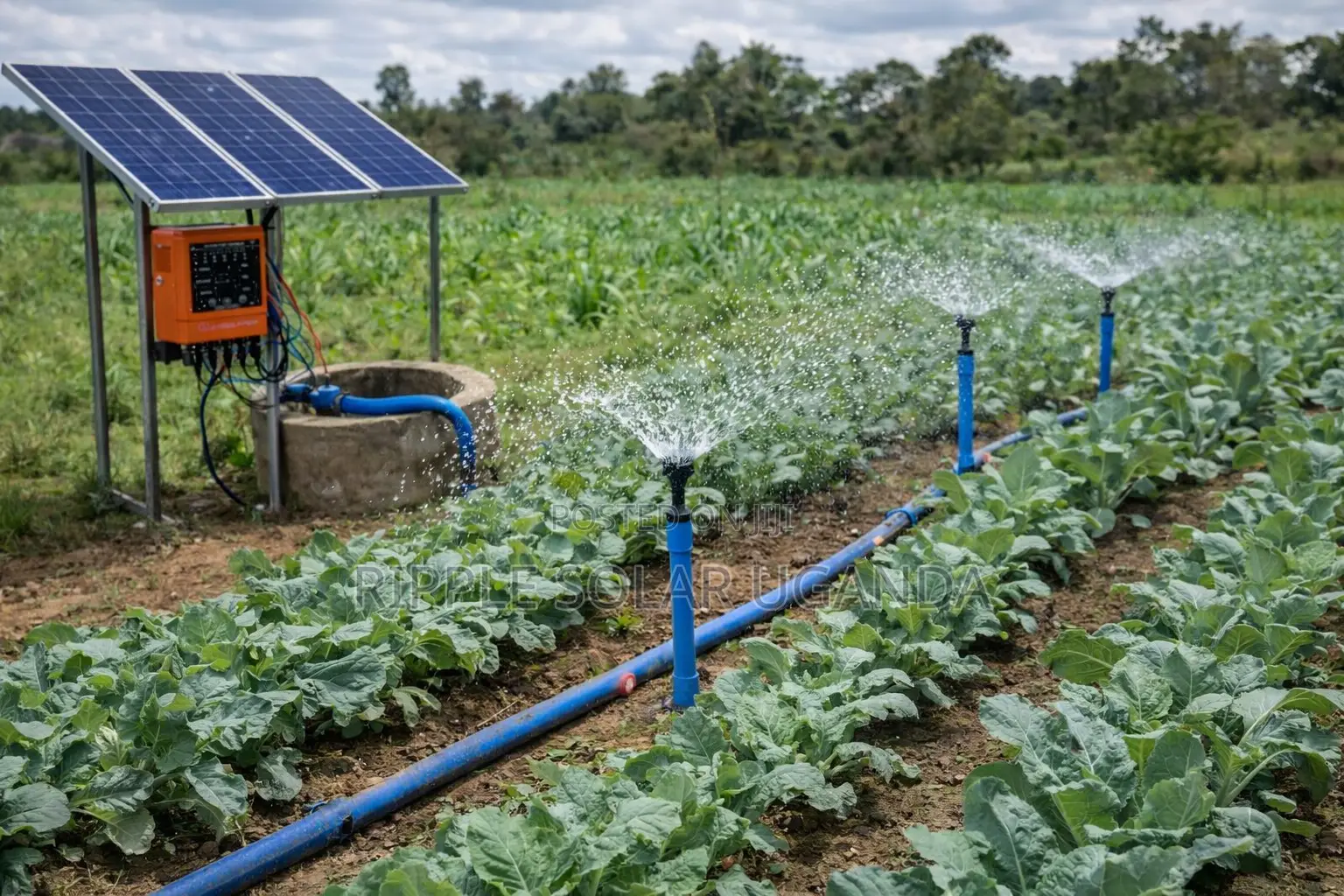 900w Solar Borehole Pump 140m Head 72v Kampala