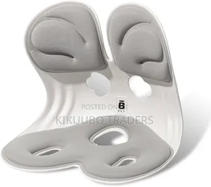 Lumbar Support Cushion, Petal Shaped Back Support