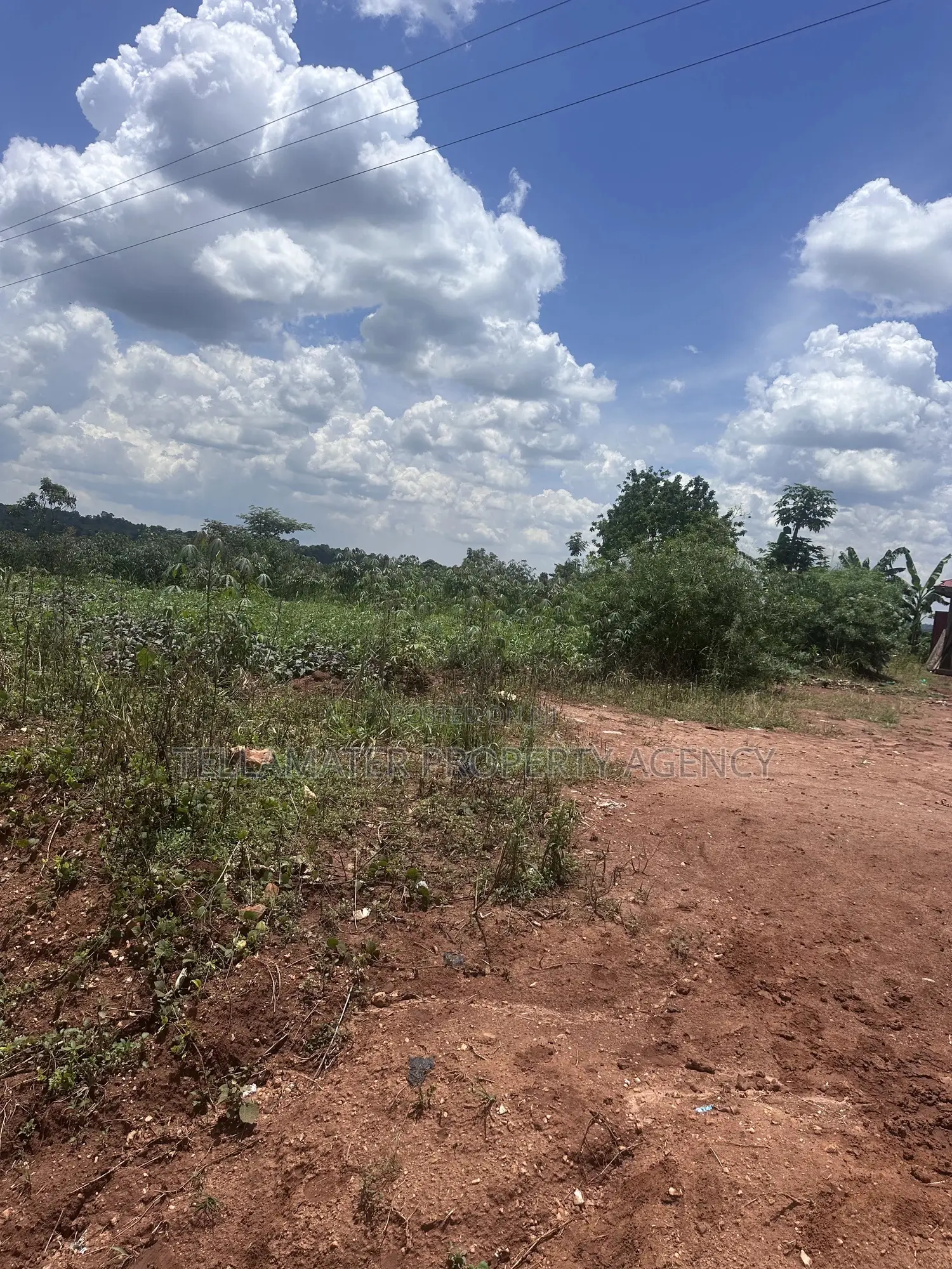 13 Decimals With Ready Title at Nakifuma-Kakinzi for Sale at Only 20m