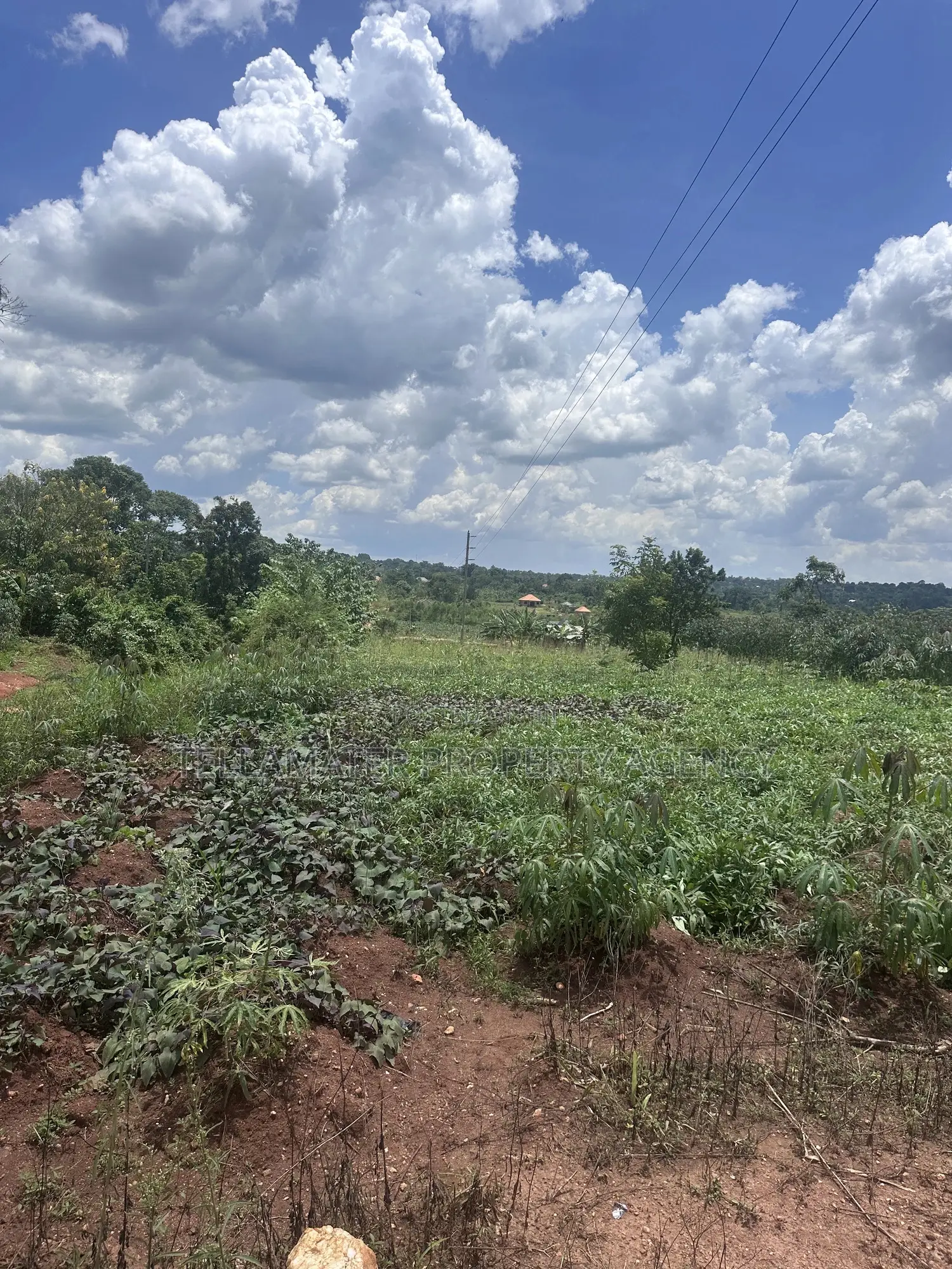 13 Decimals With Ready Title at Nakifuma-Kakinzi for Sale at Only 20m