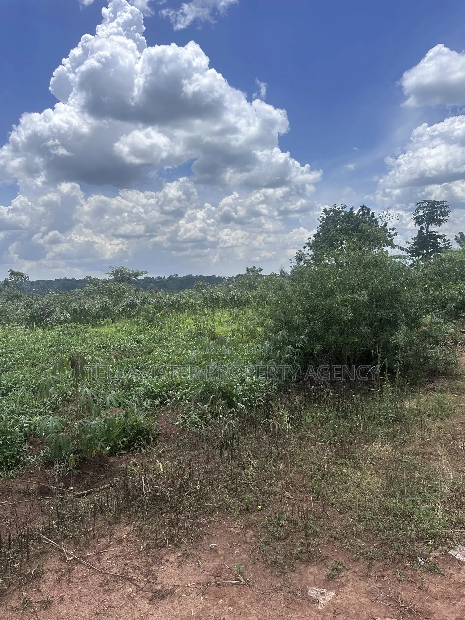 13 Decimals With Ready Title at Nakifuma-Kakinzi for Sale at Only 20m
