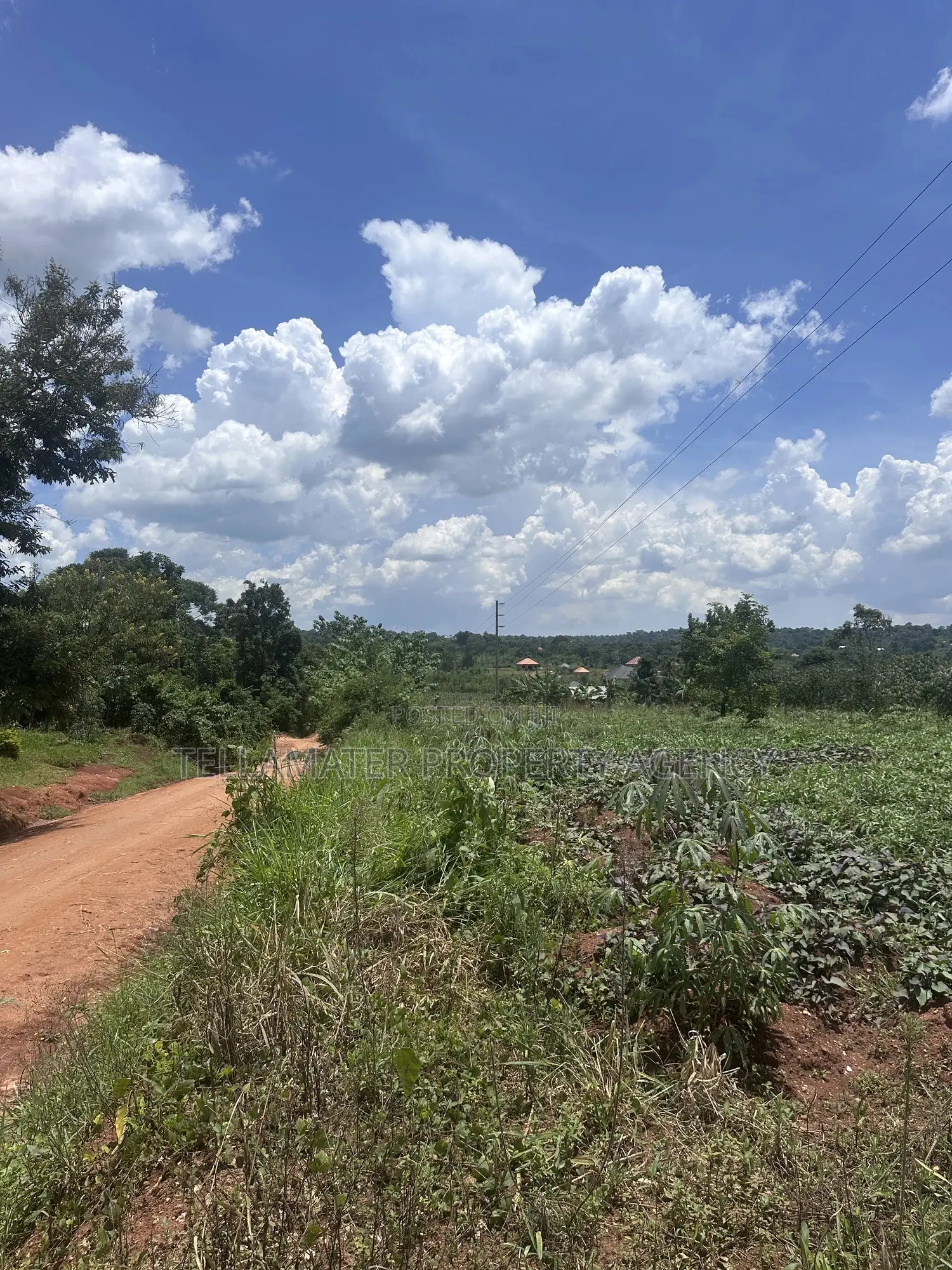 13 Decimals With Ready Title at Nakifuma-Kakinzi for Sale at Only 20m