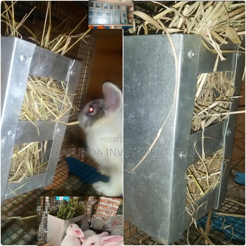 Hay Feeders