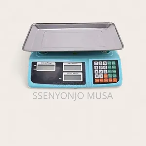 Bench Scale Digital Business Weighing Scale 30kg Stainless Steel