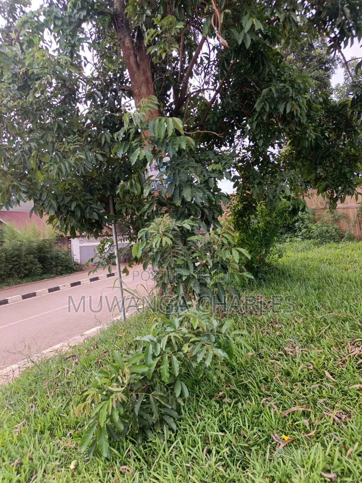 31commerncial Land on Sale Ntinda Main Road