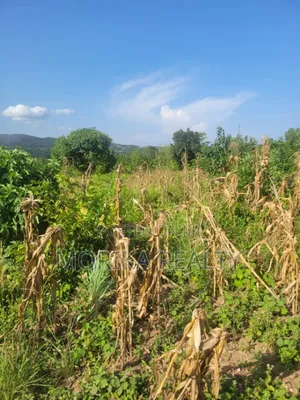 Plot At Tanda Mityana Road Kabule Town