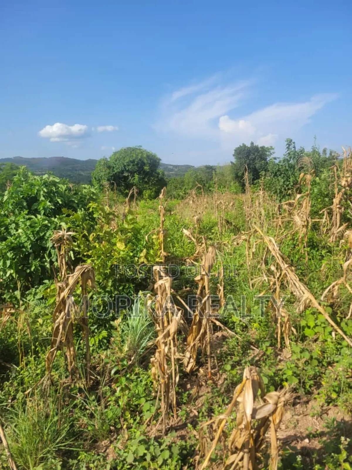 Plot At Tanda Mityana Road Kabule Town