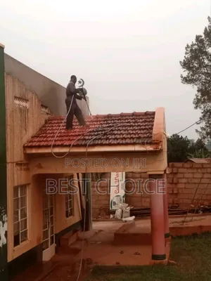 Expert Roof Cleaning Services for a Bright Space