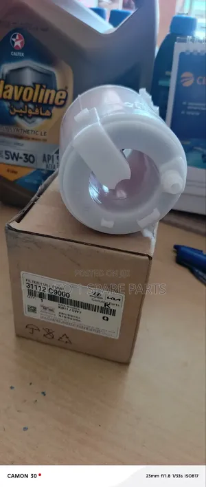 Fuel Filter for Hyundai and Kia