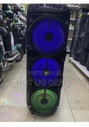 Portable Bluetooth Party Speaker With Microphone, Built-in Dj Lighting
