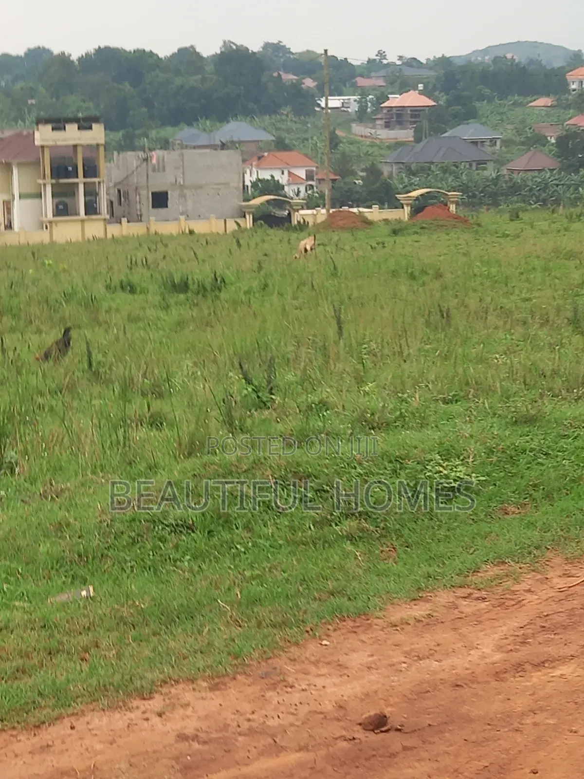 Nakwero Super Plots on Sell