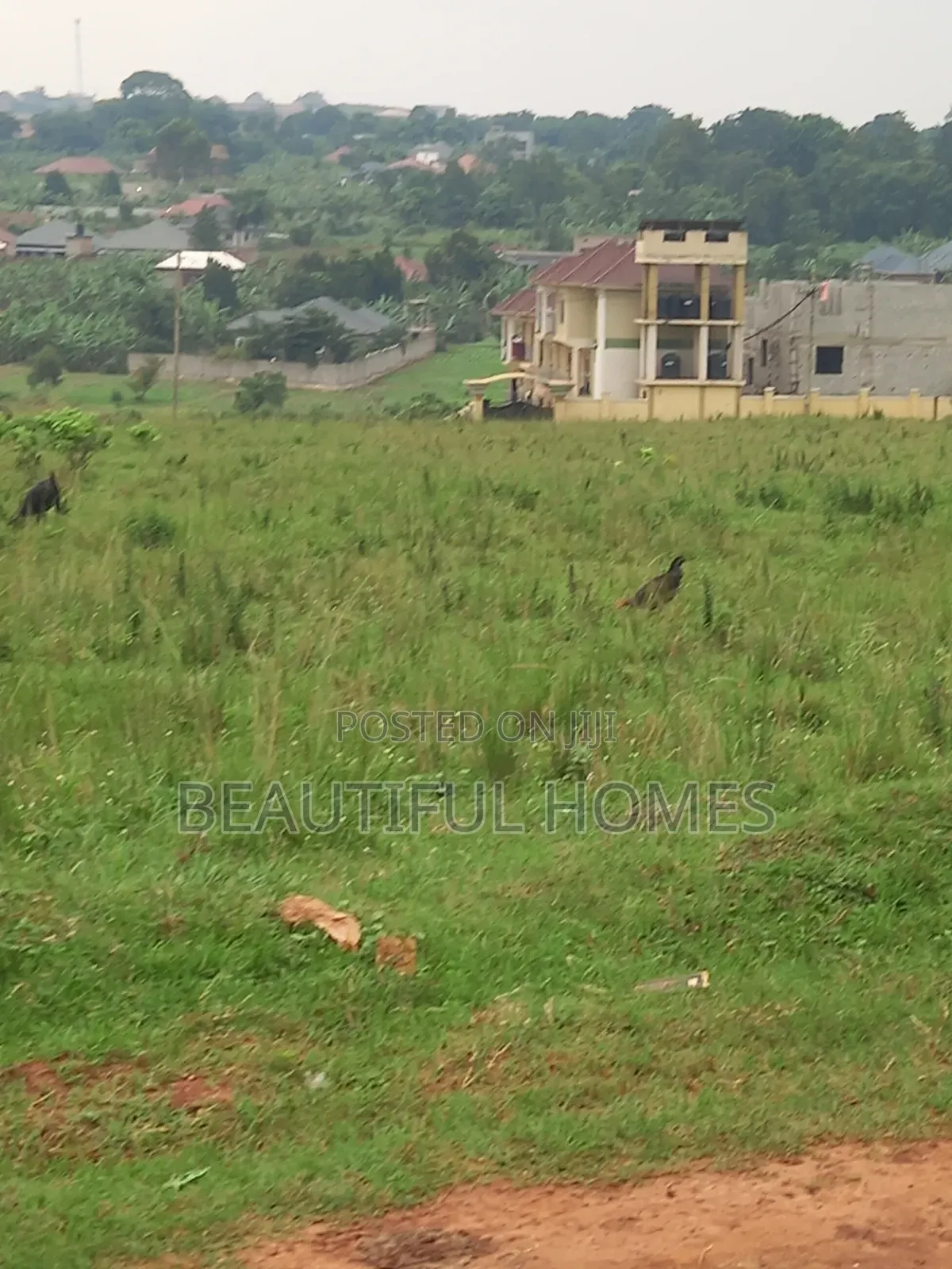 Nakwero Quicksale Plots