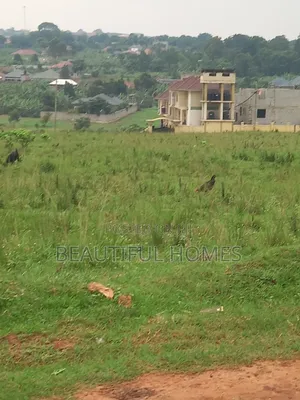 Nakwero Quicksale Plots