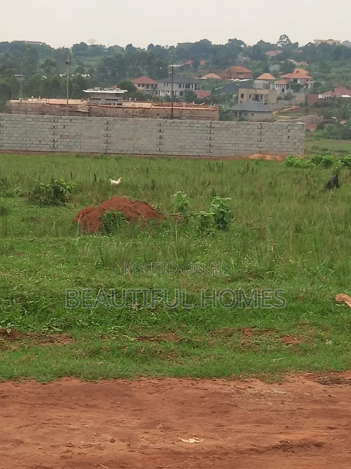 Nakwero Quicksale Plots