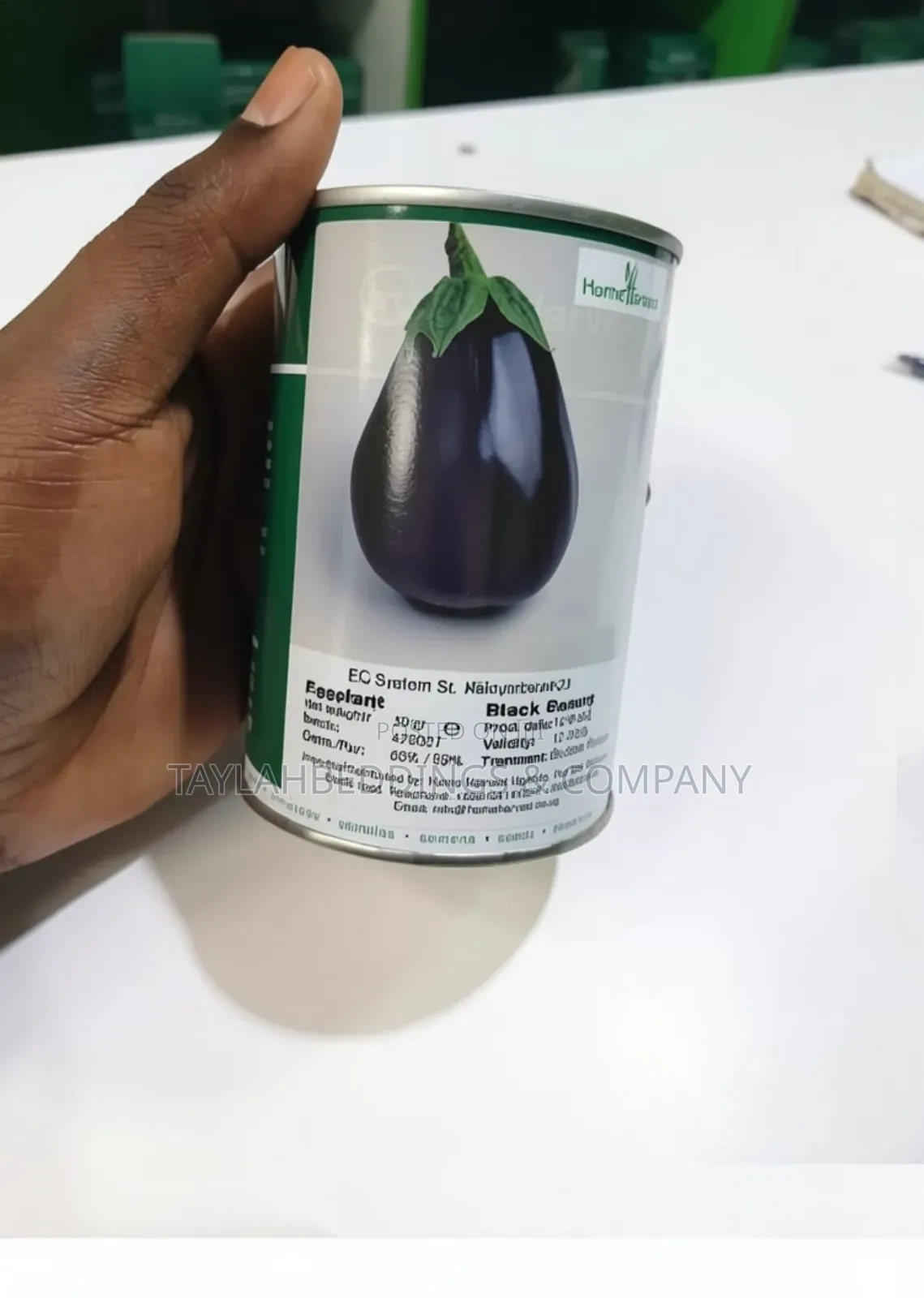 Eggplant Black Beauty Seeds/Suitable for All Climate1000pcs Seeds 50g