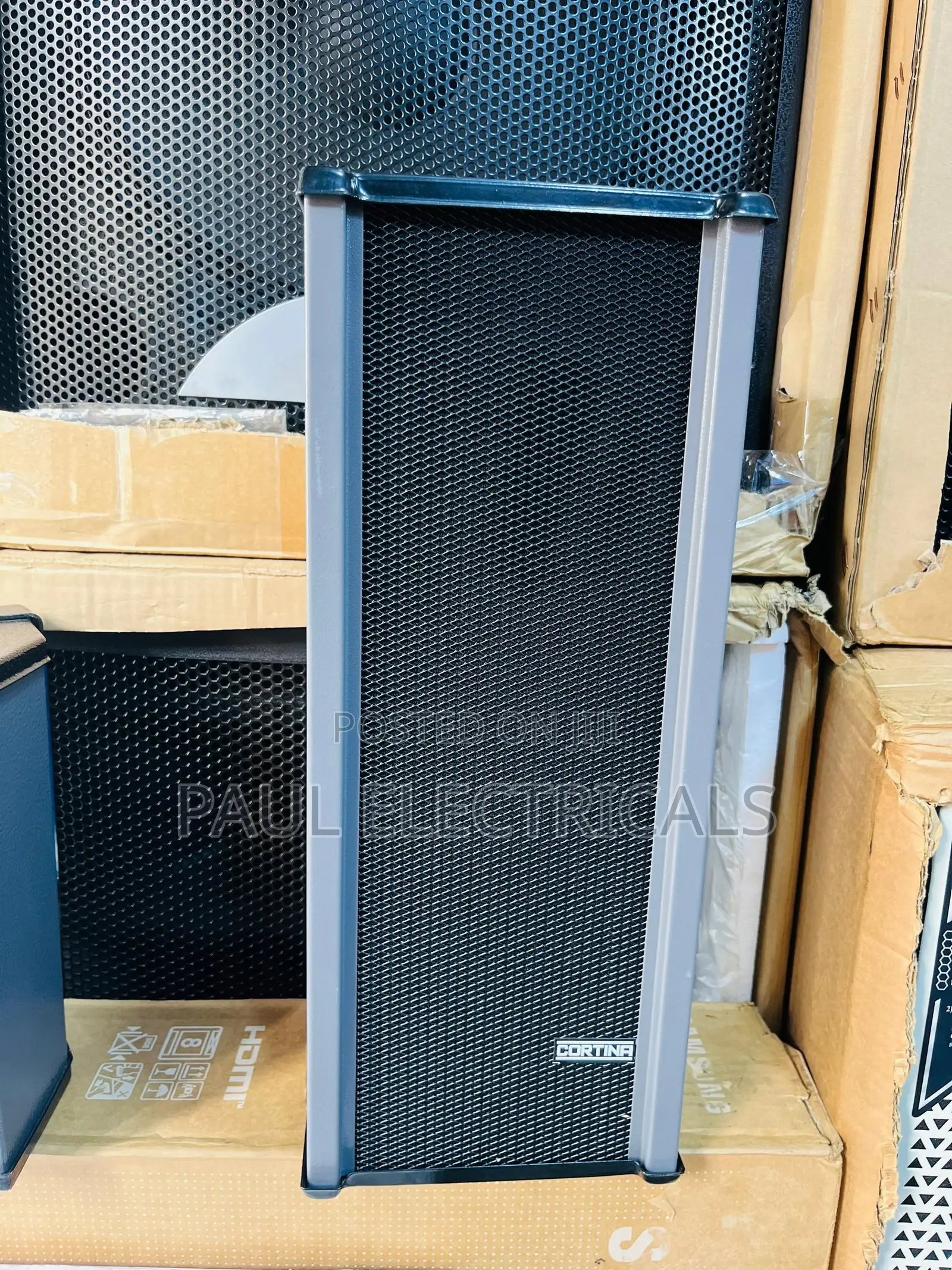 Cortina Amplifier Speaker