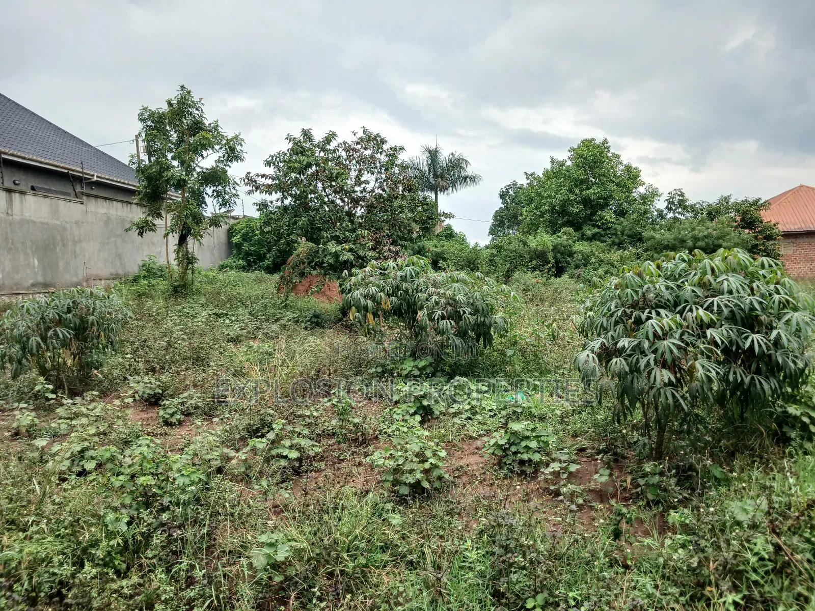 Plot for Sale at Kasangati Kiti