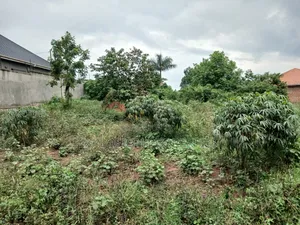 Plot for Sale at Kasangati Kiti