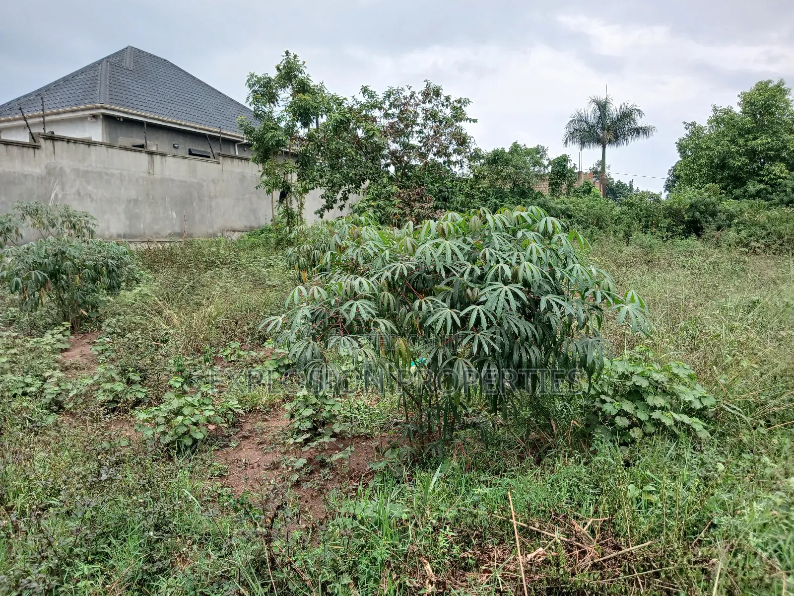 Plot for Sale at Kasangati Kiti