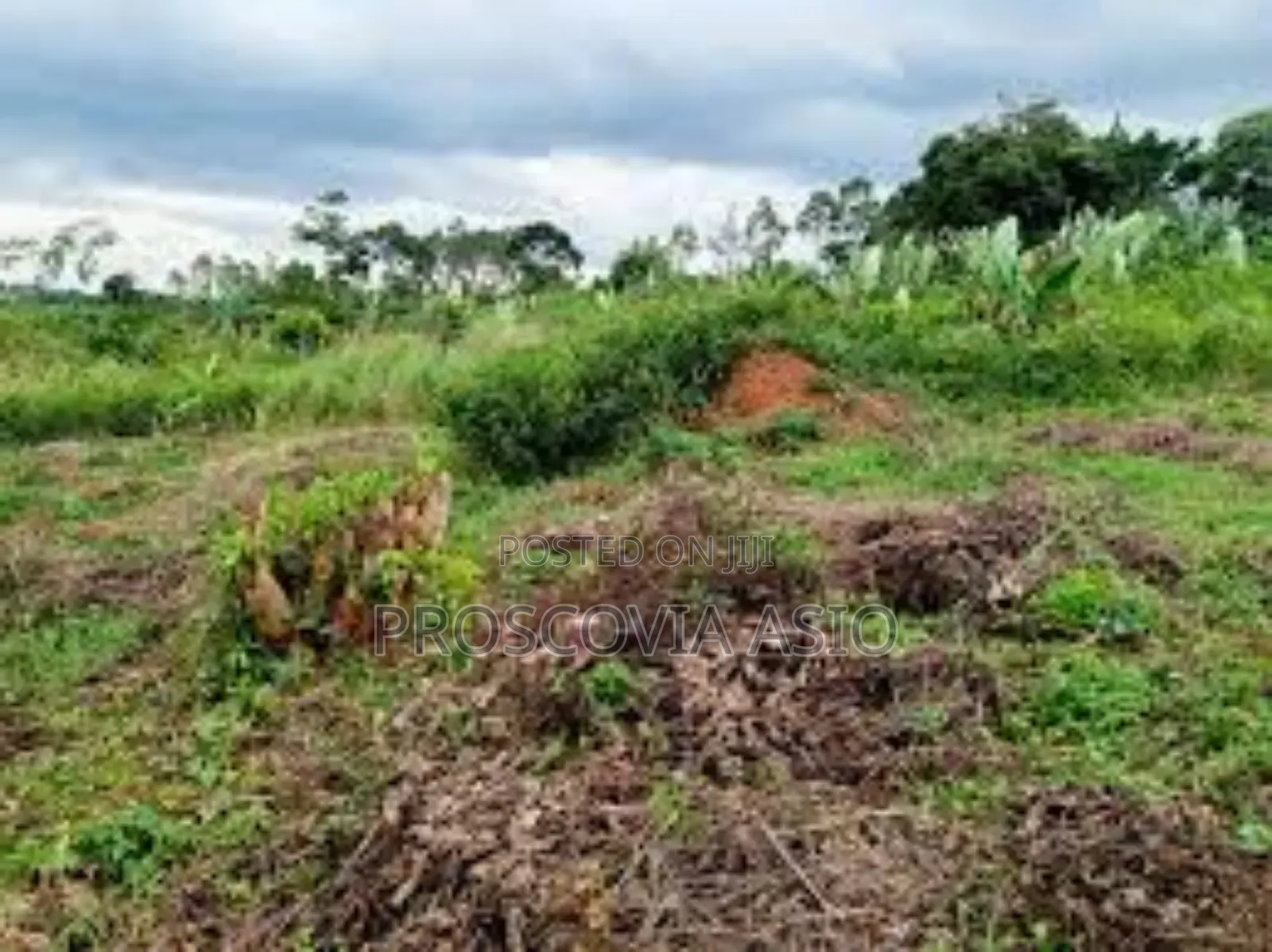 Land Dundu Gayaza-Mukono With Title