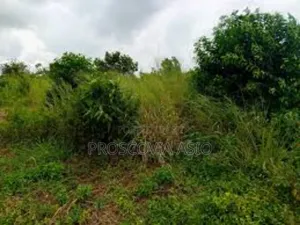 Land Dundu Gayaza-Mukono With Title