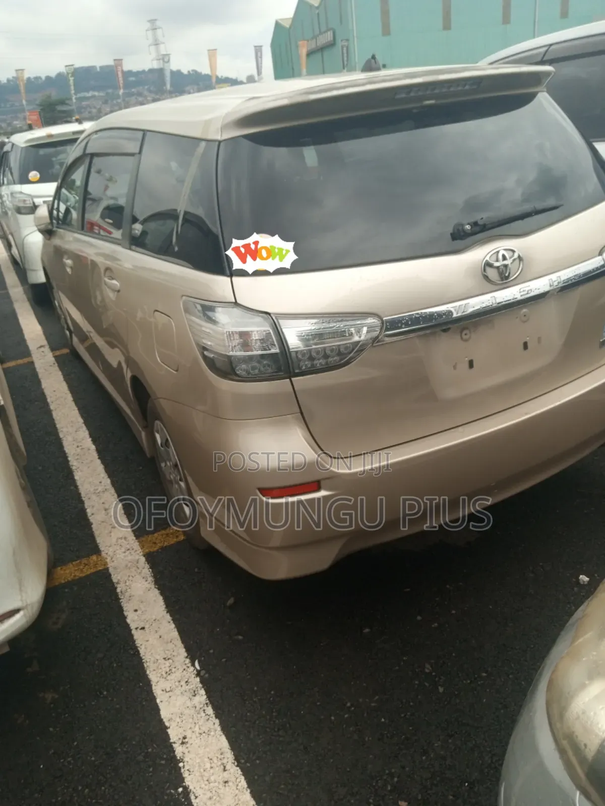 Toyota Wish 2013 Brown