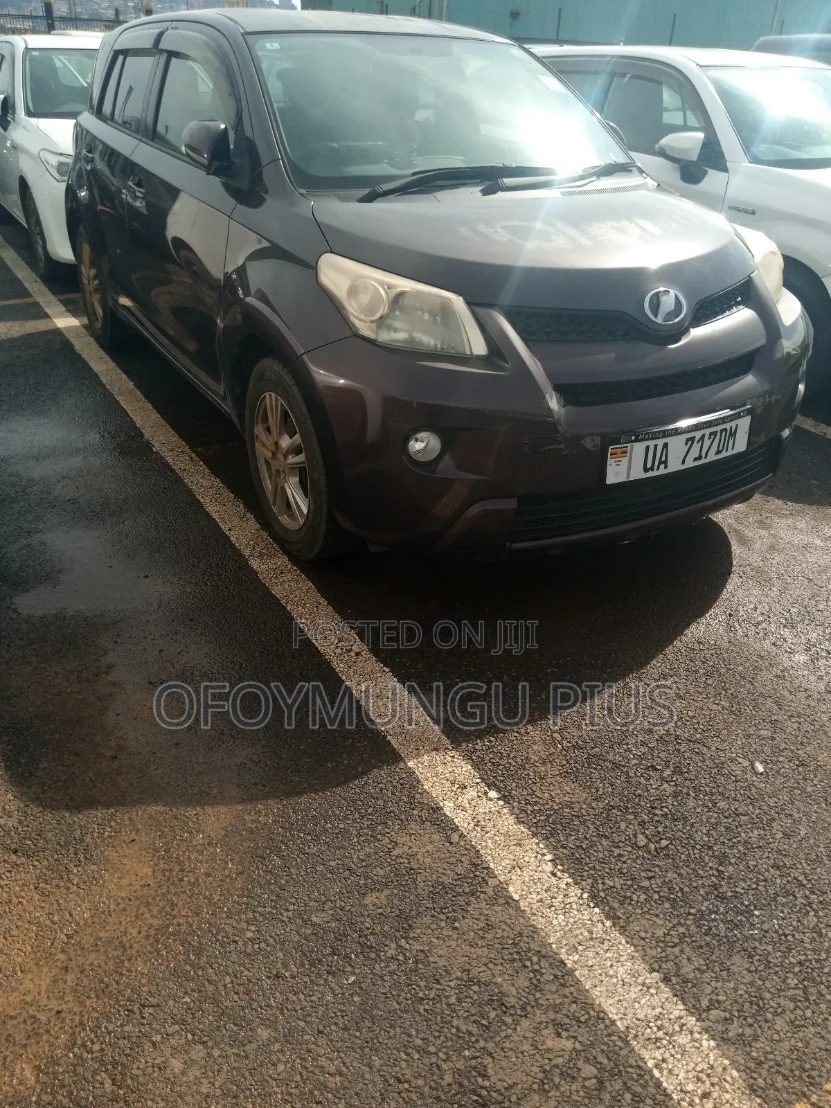 Toyota IST 2012 Maroon