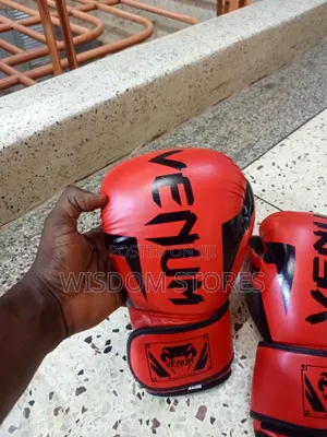 Boxing Gloves 12oz