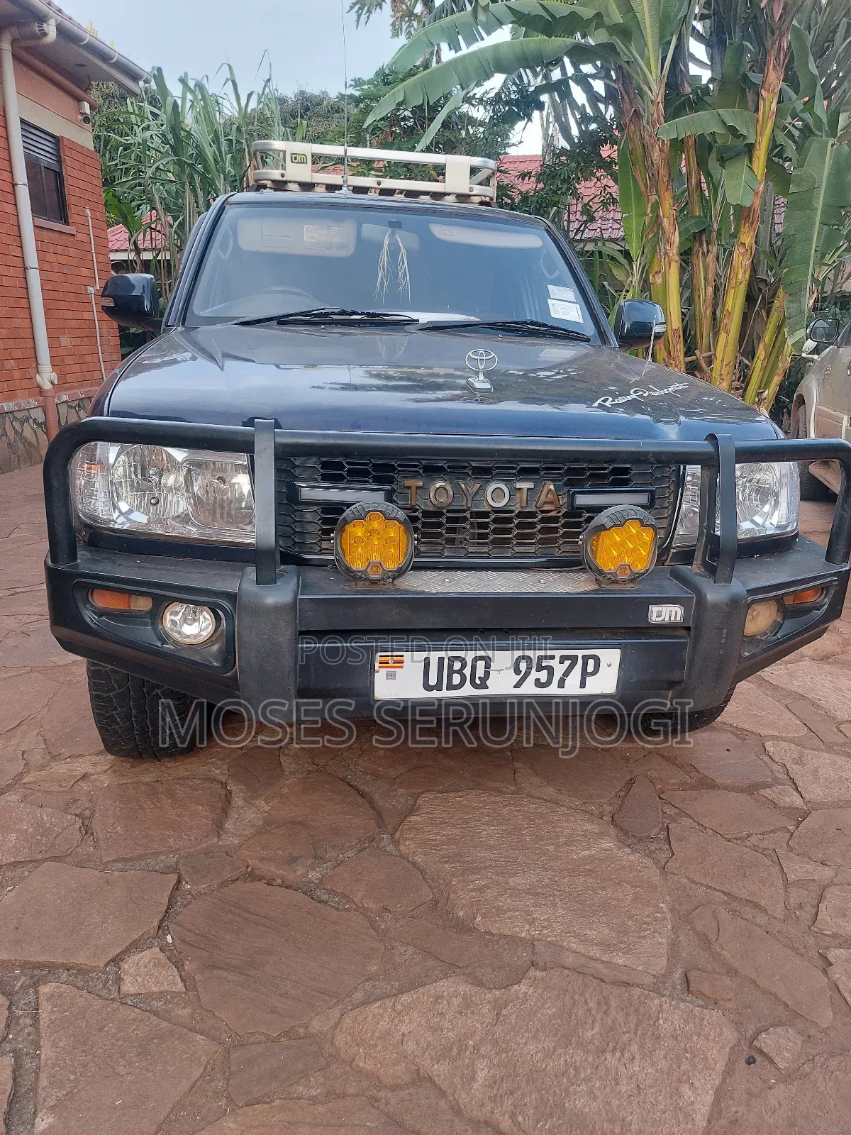 Toyota Land Cruiser 2009 Purple