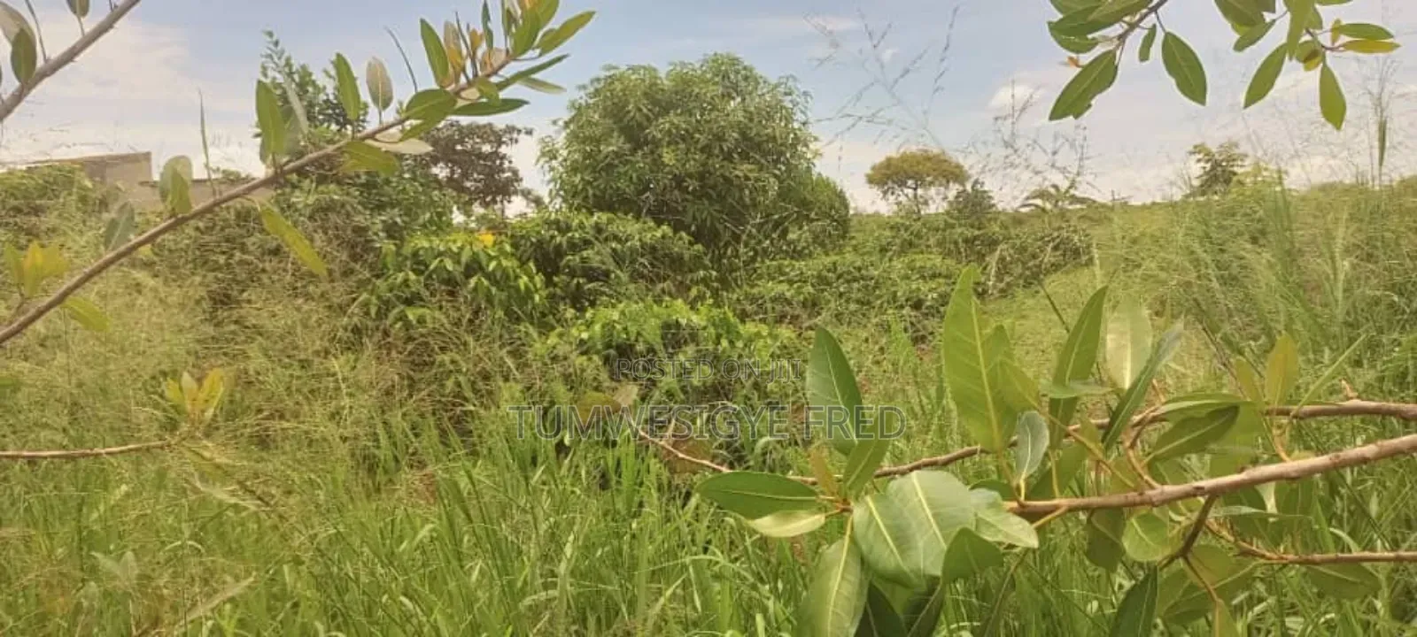Land for Sale