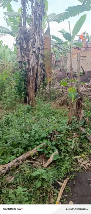 Plot For Sale In Fort Portal City.