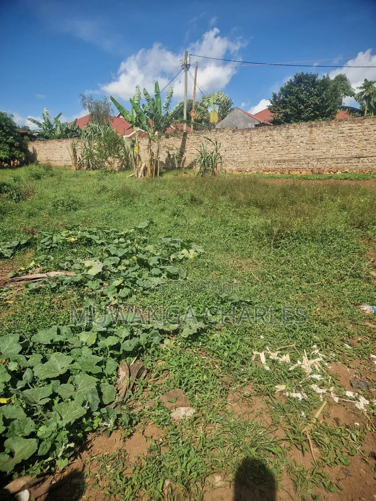 Plots on Sale in Buwate