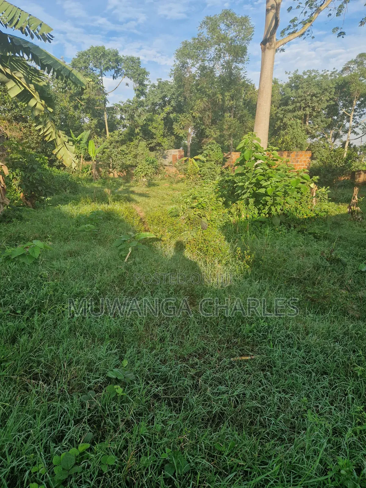 Plots on Sale in Buwate
