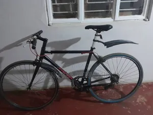 Bicycle 28