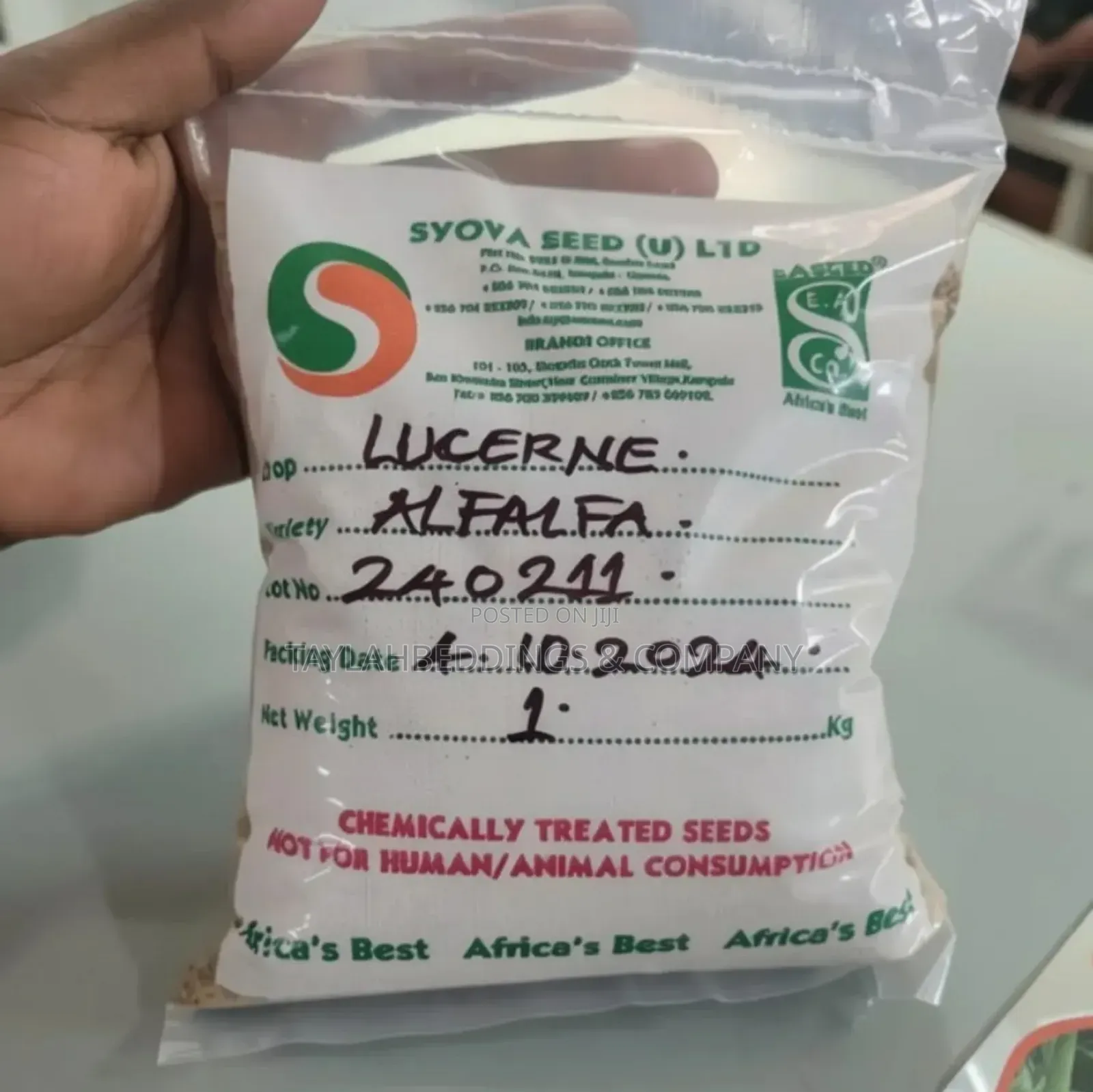 Lucerne Alfalfa Grass Seeds Multi Cut Grass for Cow and Goat
