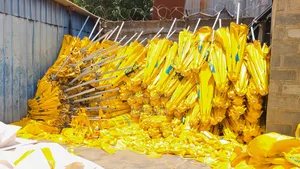 Durable Umbrellas in All Colors
