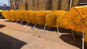 Durable Umbrellas in All Colors