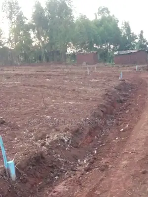 Plot for Sale 100x40ft at 17m Ugx Setema Town