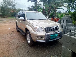 Prado Vx With Driver For Hire