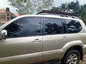 Prado Vx With Driver For Hire