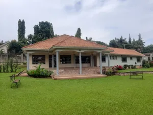 4bdrm House in Muyenga, Makindye for rent