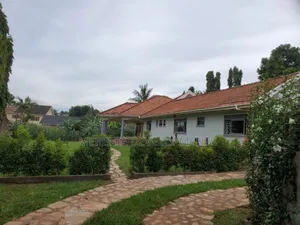 4bdrm House in Muyenga, Makindye for rent