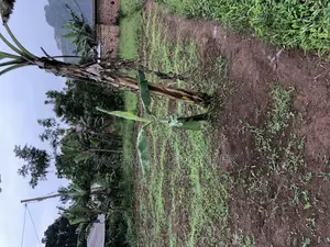 Non Titled Land