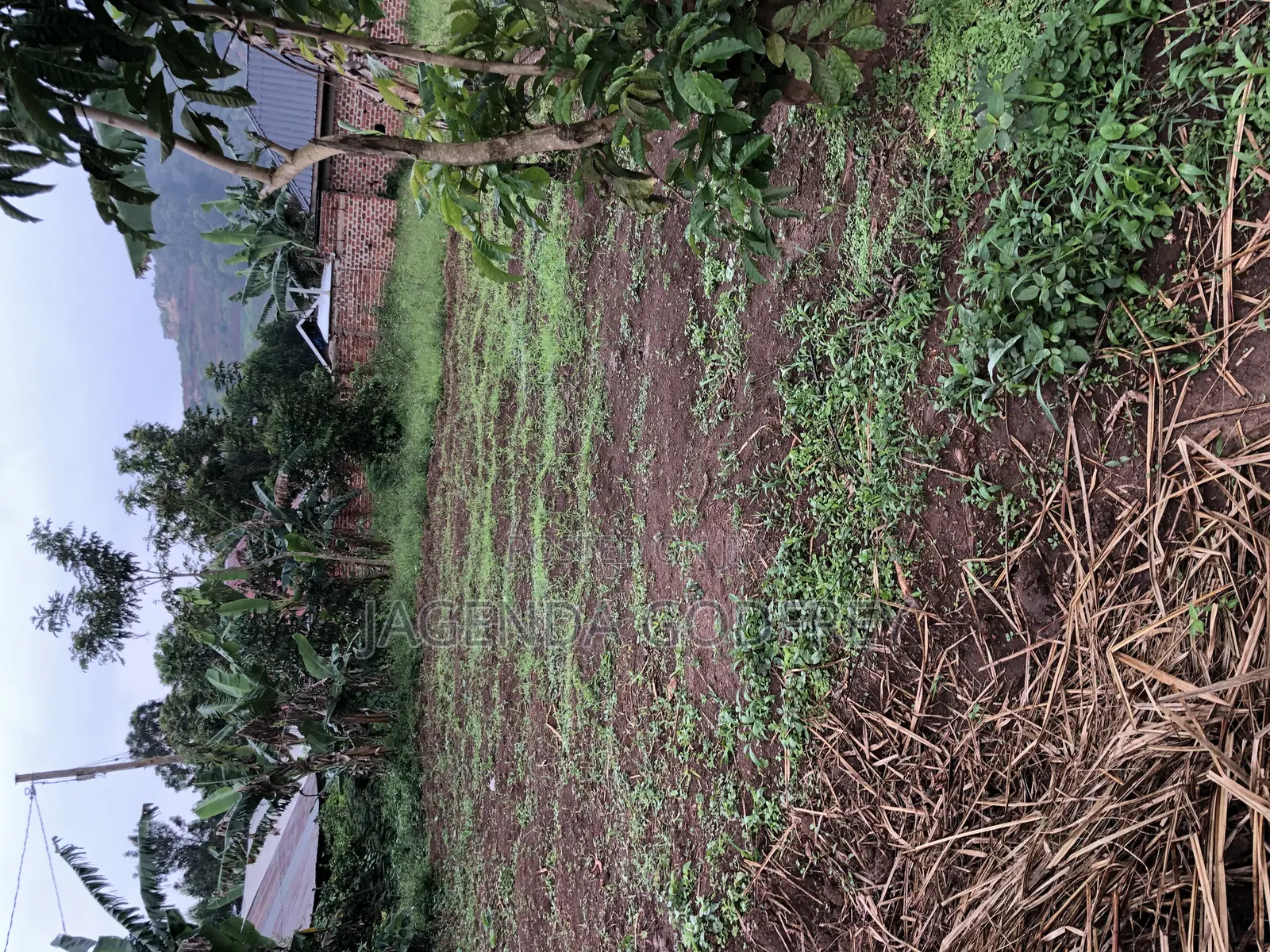 Non Titled Land